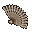Brwisty Wachlarz